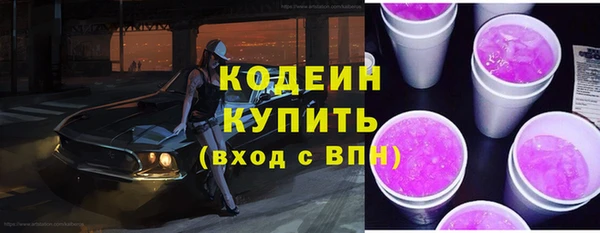 сатива Вяземский