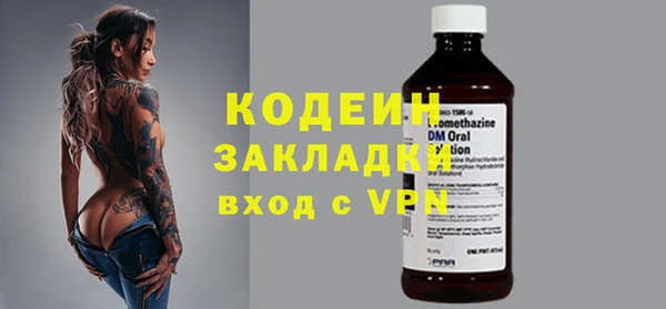 сатива Вяземский