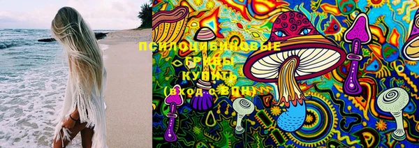 сатива Вяземский